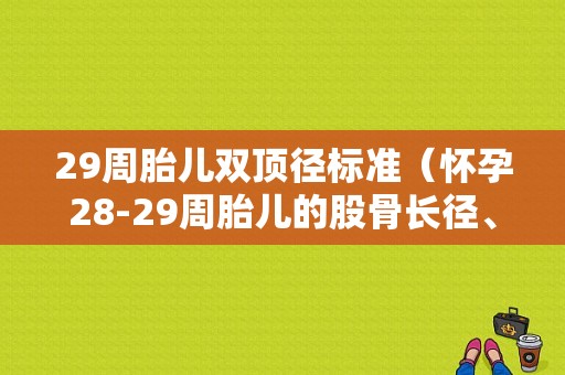 29周胎儿双顶径标准（怀孕28-29周胎儿的股骨长径、头围、腹围标准是多少）