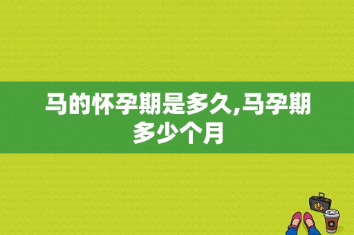马的怀孕期是多久,马孕期多少个月