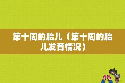 第十周的胎儿（第十周的胎儿发育情况）