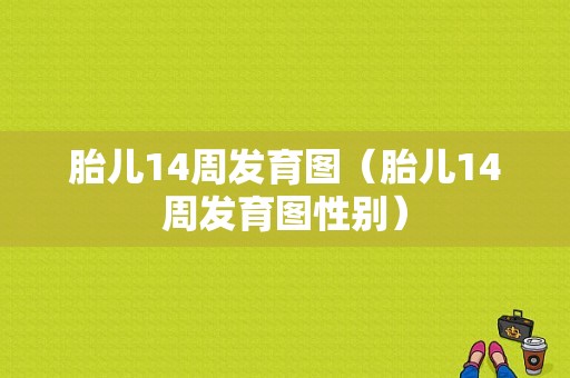 胎儿14周发育图（胎儿14周发育图性别）