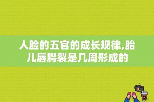 人脸的五官的成长规律,胎儿唇腭裂是几周形成的  第1张