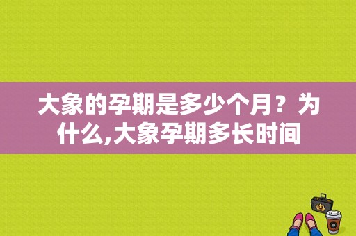 大象的孕期是多少个月？为什么,大象孕期多长时间