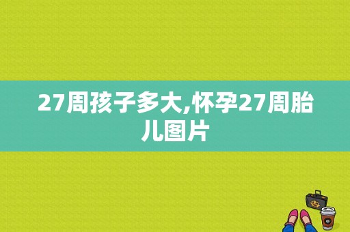 27周孩子多大,怀孕27周胎儿图片