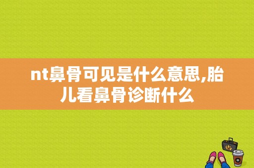 nt鼻骨可见是什么意思,胎儿看鼻骨诊断什么