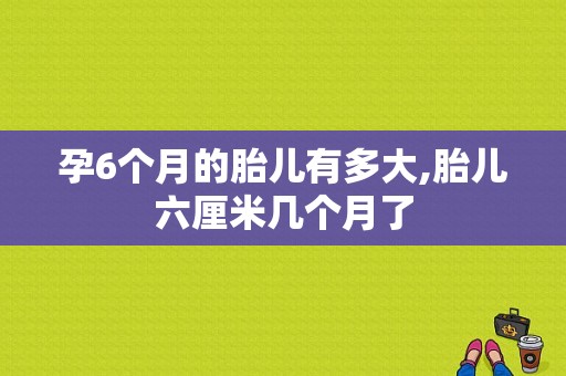 孕6个月的胎儿有多大,胎儿六厘米几个月了