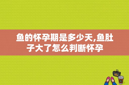 鱼的怀孕期是多少天,鱼肚子大了怎么判断怀孕