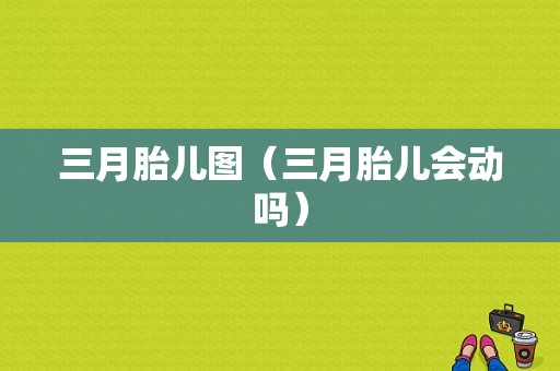 三月胎儿图（三月胎儿会动吗）