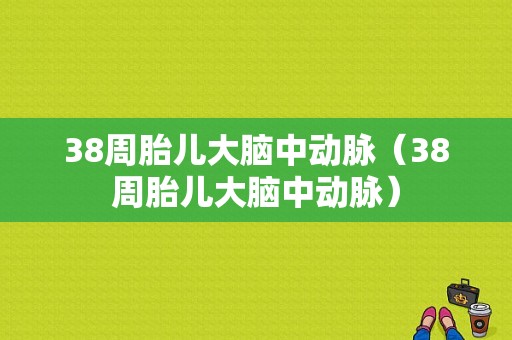 38周胎儿大脑中动脉（38周胎儿大脑中动脉）