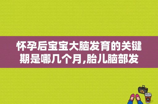 怀孕后宝宝大脑发育的关键期是哪几个月,胎儿脑部发育高峰期是什么时候