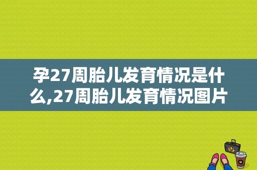 孕27周胎儿发育情况是什么,27周胎儿发育情况图片大全