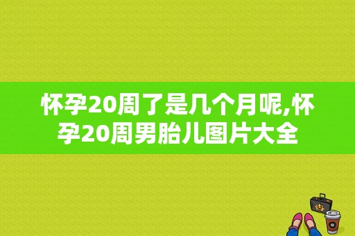 怀孕20周了是几个月呢,怀孕20周男胎儿图片大全