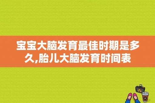 宝宝大脑发育最佳时期是多久,胎儿大脑发育时间表