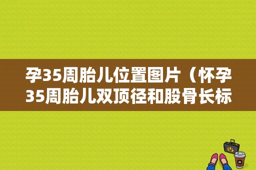 孕35周胎儿位置图片（怀孕35周胎儿双顶径和股骨长标准是多少）