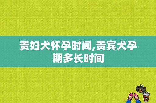 贵妇犬怀孕时间,贵宾犬孕期多长时间