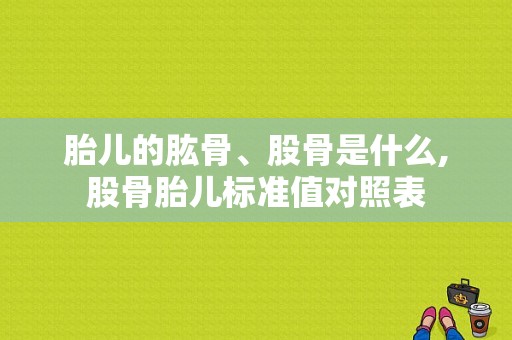 胎儿的肱骨、股骨是什么,股骨胎儿标准值对照表