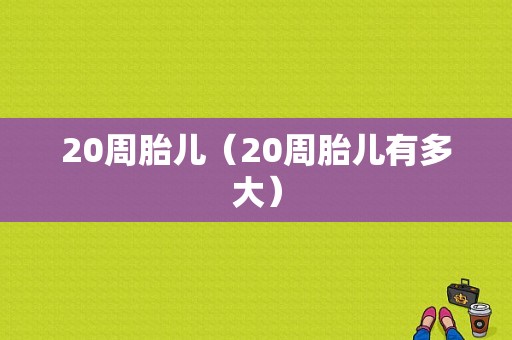 20周胎儿（20周胎儿有多大）