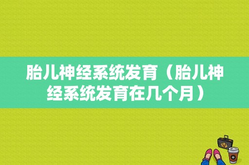 胎儿神经系统发育（胎儿神经系统发育在几个月）