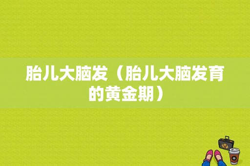 胎儿大脑发（胎儿大脑发育的黄金期）