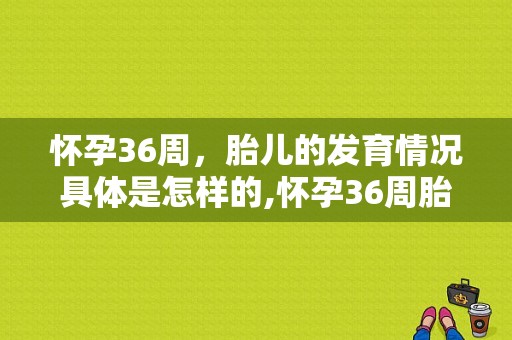 怀孕36周，胎儿的发育情况具体是怎样的,怀孕36周胎儿发育情况