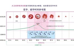 怀孕期间还会排卵吗（女生怀孕期间还会排卵吗）