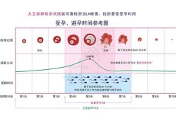 怀孕期间还会排卵吗（女生怀孕期间还会排卵吗）