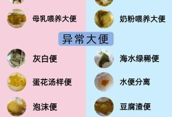 胎儿几周成型（宝宝几个月大便会成型）