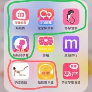 孕期伴侣（哪款孕期APP比较实用）