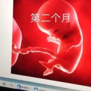 胎儿二月（胎儿二月怕什么）