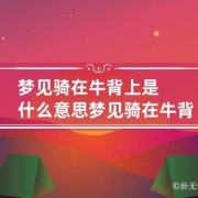 孕期梦见牛（一个人骑在牛背上由哪八个字组成）