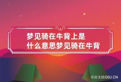 孕期梦见牛（一个人骑在牛背上由哪八个字组成）