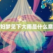 孕期梦见下大雨（出生时下大雨有什么预示吗）