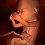 怀孕5个月胎儿视频（怀孕5个月胎儿视频图片）