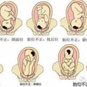 胎儿什么时候头位（胎儿什么时候头位朝下）