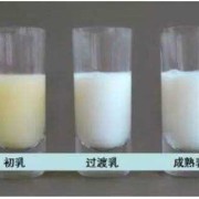 孕期分泌乳汁（怀孕几个月会分泌初乳）