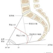怀孕四个月孩子股骨弯曲成角怎么办呢,胎儿股骨弯曲会变直吗图片