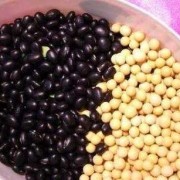 孕期吃红小豆（怀孕可以吃黑豆，红豆吗）