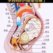 胎儿会踢到膀胱吗（胎儿会踢到膀胱吗图片）