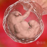 四周胎儿图（胎儿偏小四周怎么办）
