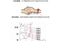 根据宫高和腹围能算出胎儿体重吗,宫高腹围测胎儿体重计算公式