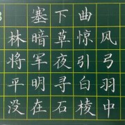胎儿心管搏动是什么（怀孕50天，胎儿心跳搏动113次/分，正常吗）