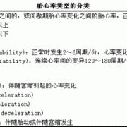 17周宝宝胎心率154正常吗？一般情况下正常胎心率是多少,胎儿17周图片
