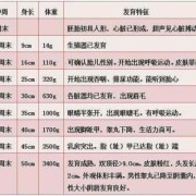 孕36周胎儿发育标准值是什么,孕36周后面还会猛涨吗