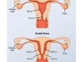 孕期阴道
