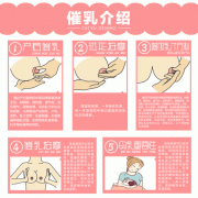 孕期回奶（孕期回奶的正确方法）