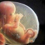 胎儿胎心慢怎么办（请问下大家怀孕30周胎心慢是怎么回事呢？宝宝缺氧吗）