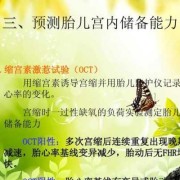 fhr是胎儿的什么（hr化学元素是什么）