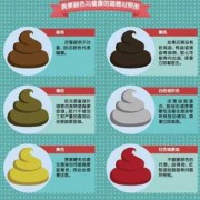 怀孕后大便次数多怎么回事,孕期总想大便怎么回事
