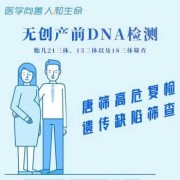 胎儿无创dna产前筛查怎么做,胎儿无创基因检测是什么意思啊