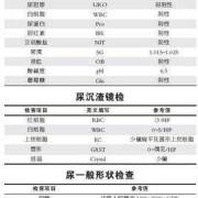 尿蛋白高会影响胎儿吗（尿蛋白高会影响胎儿吗）