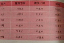 22周胎儿腹围标准数据（22周胎儿腹围标准数据是多少）